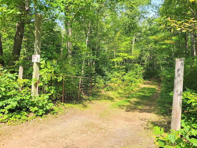 view of local wilderness