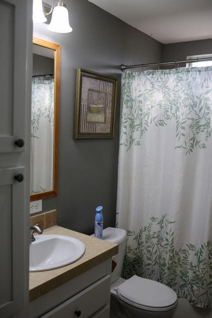 bathroom featuring vanity, toilet, and walk in shower