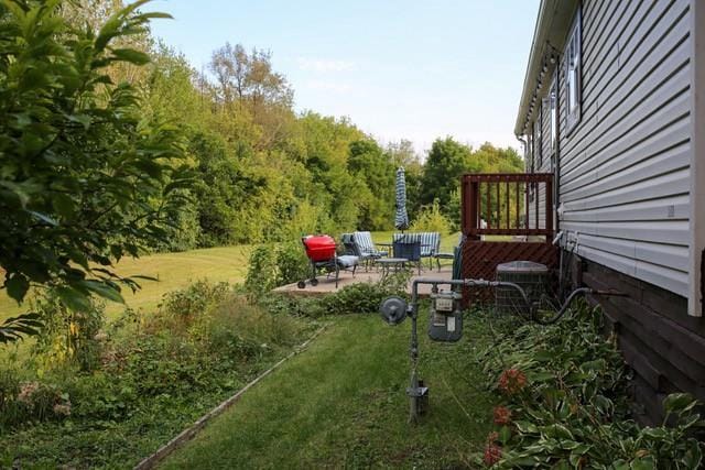 view of yard featuring a patio