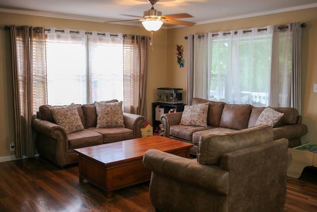 living room featuring crown molding, dark hardwood / wood-style flooring, plenty of natural light, and ceiling fan