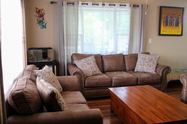 living room featuring dark wood-type flooring and plenty of natural light