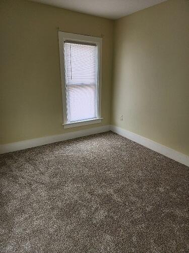 spare room with carpet