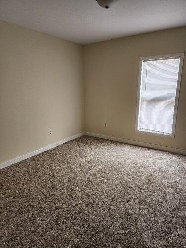 spare room featuring carpet