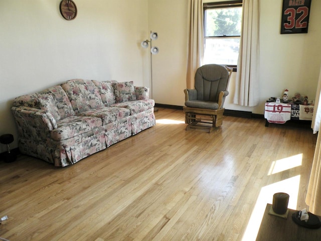 living room with light wood-type flooring