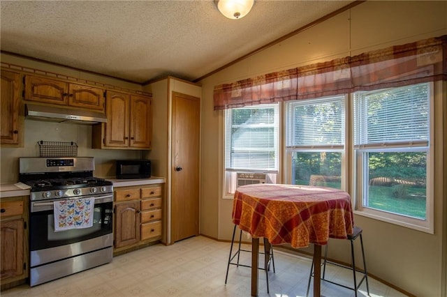 kitchen featuring ventilation hood, lofted ceiling, stainless steel gas range oven, and plenty of natural light