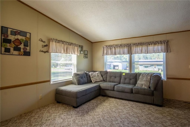 carpeted living room with a textured ceiling and vaulted ceiling