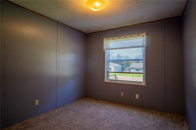 carpeted empty room with a textured ceiling