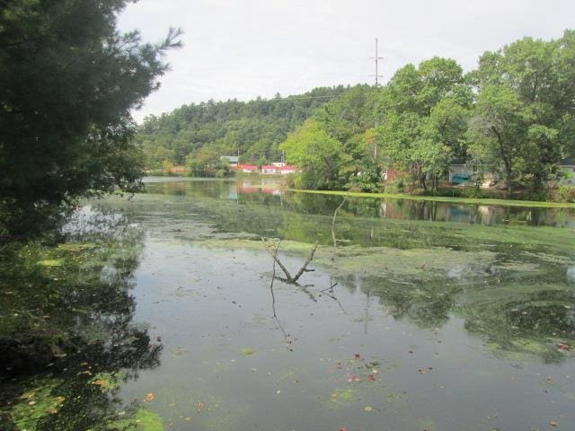 view of water feature