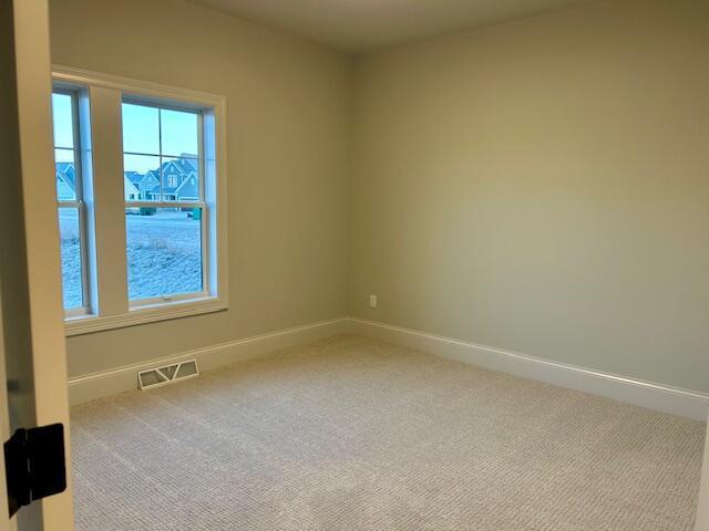 spare room featuring carpet floors