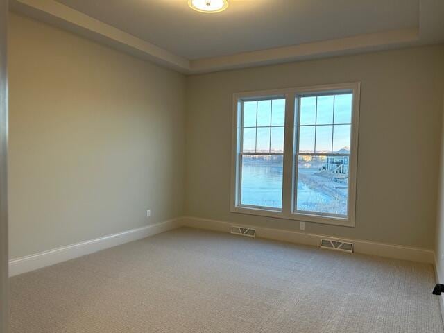 carpeted spare room with a tray ceiling