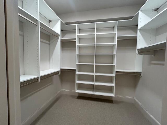 spacious closet featuring carpet floors