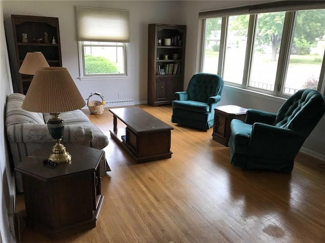 living room featuring light hardwood / wood-style floors