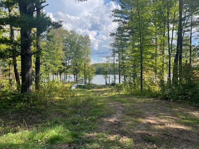 6704 Jonans Rd, Stone Lake WI, 54876 land for sale