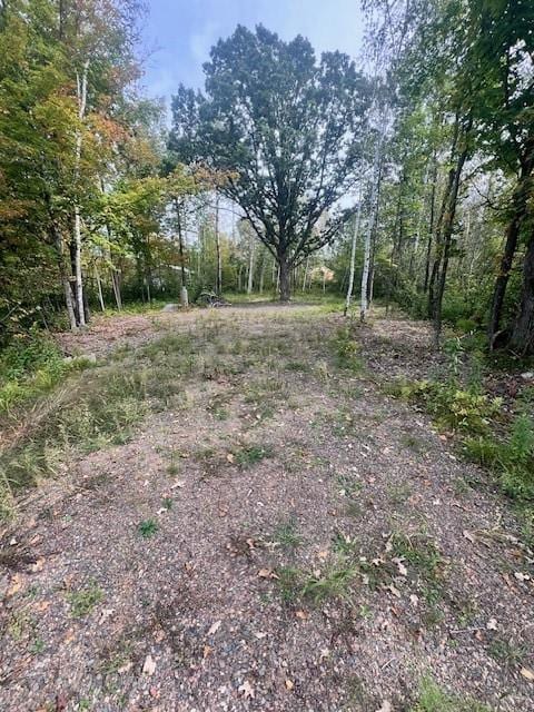 2873 28 3/4 St, Birchwood WI, 54817 land for sale