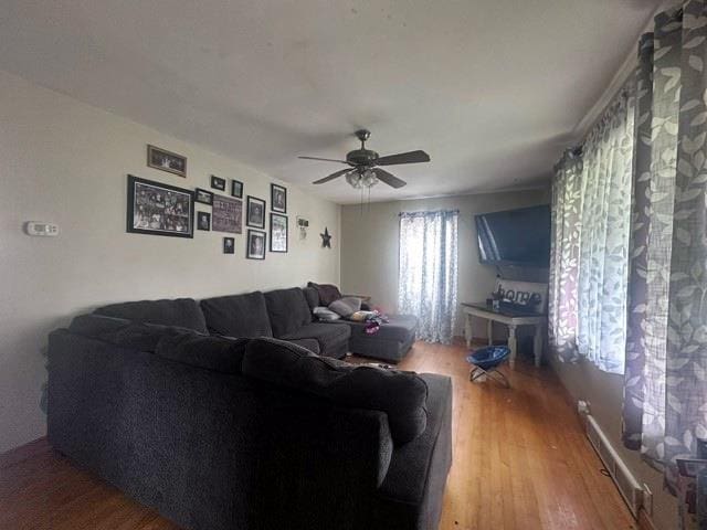 living room featuring ceiling fan and hardwood / wood-style flooring