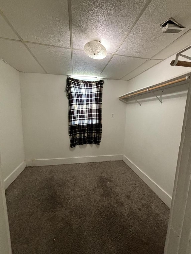 walk in closet with a paneled ceiling and carpet flooring