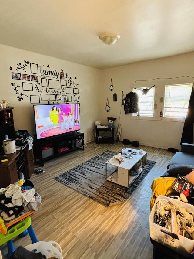 living room featuring wood-type flooring