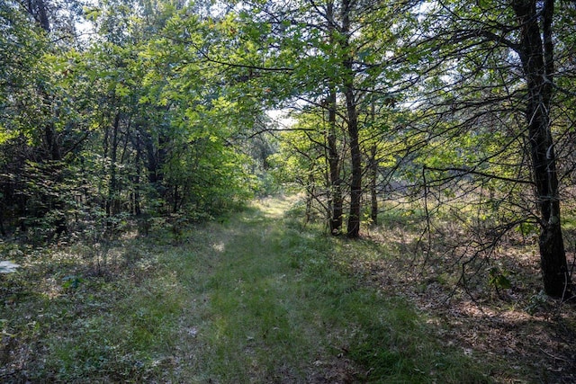 Listing photo 3 for LOT4 20th St, Necedah WI 54646