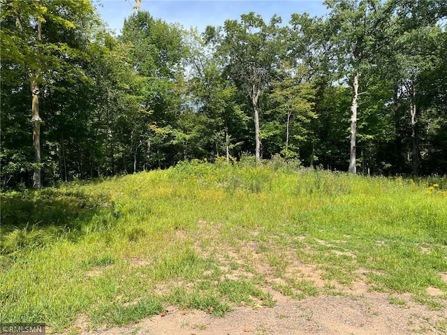 LOT6 186th St, Balsam Lake WI, 54810 land for sale