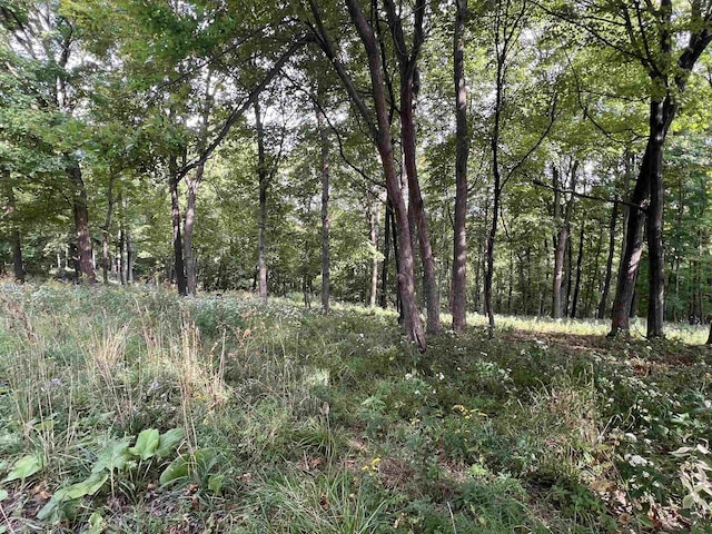 65698 Desoto Ridge Rd, De Soto WI, 54624 land for sale