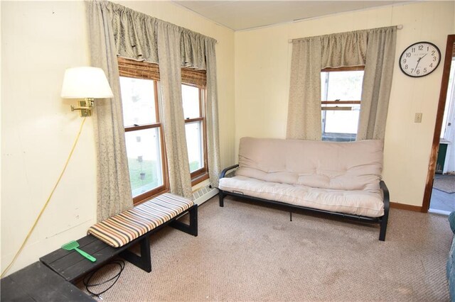 sitting room with carpet