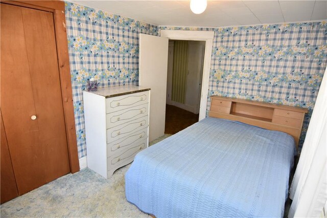 carpeted bedroom with a closet