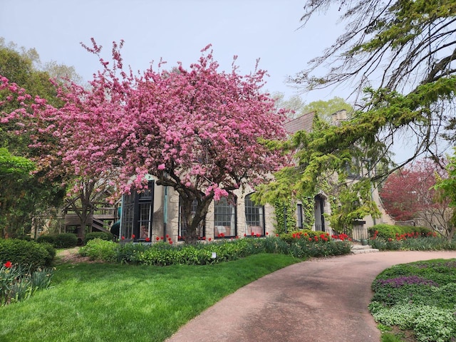 view of front of property featuring a front yard