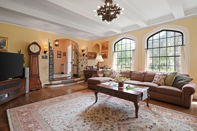 living room featuring an inviting chandelier, beam ceiling, crown molding, and dark hardwood / wood-style flooring