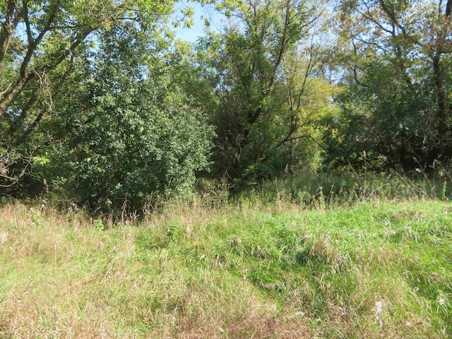 Rulau Rd, Iola WI, 54945 land for sale