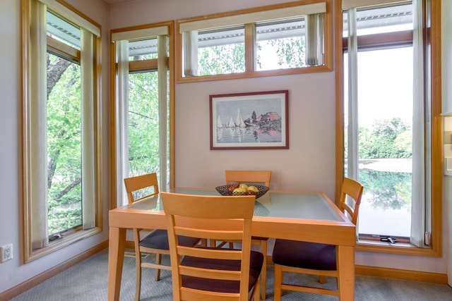 carpeted dining space featuring plenty of natural light