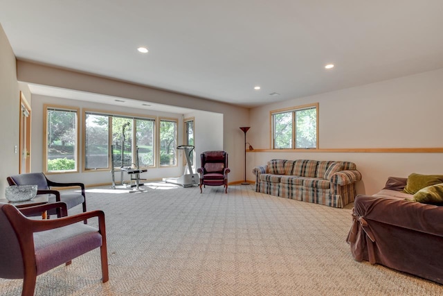 living room featuring light carpet