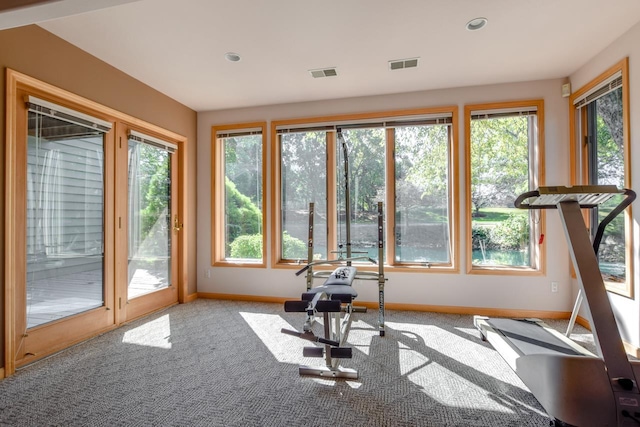 exercise area with carpet floors