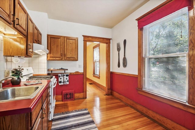 kitchen featuring sink, high end stove, light hardwood / wood-style floors, and decorative backsplash