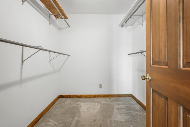 spacious closet with carpet