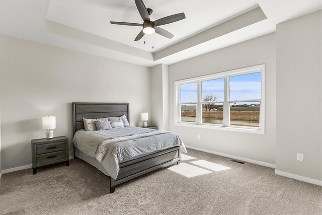 2876 Wild Goose Way, Stoughton, WI 53589 - bedroom with a raised ceiling, carpet, baseboards, and visible vents