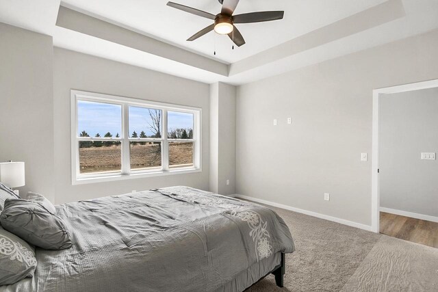 2876 Wild Goose Way, Stoughton, WI 53589 - bedroom with baseboards, carpet floors, a tray ceiling, and ceiling fan