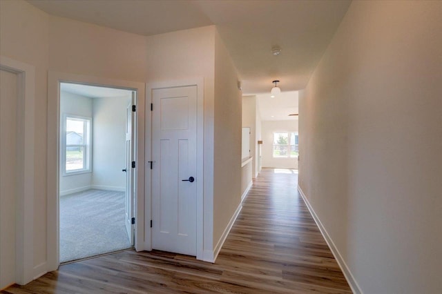 hall with light wood-type flooring and plenty of natural light