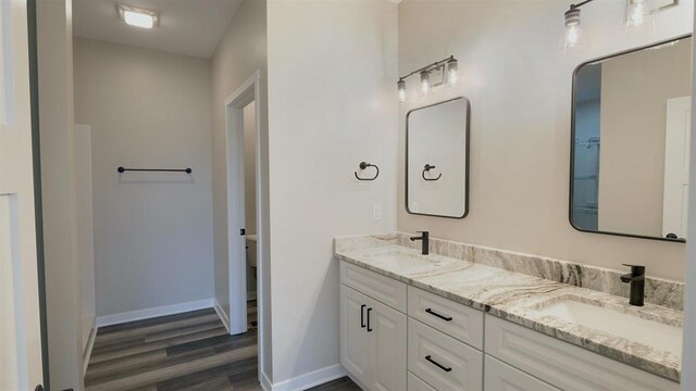 bathroom with hardwood / wood-style flooring and vanity