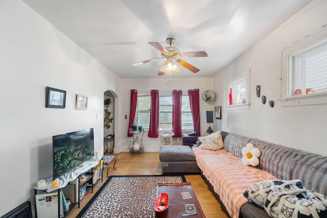 living room with ceiling fan and light wood-type flooring