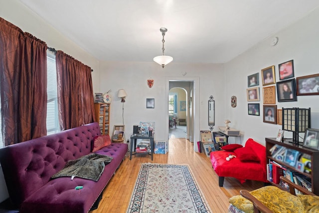 living room featuring light hardwood / wood-style flooring and plenty of natural light