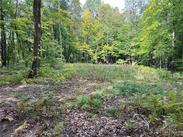 XXX Stowe Rd, Birchwood WI, 54817 land for sale