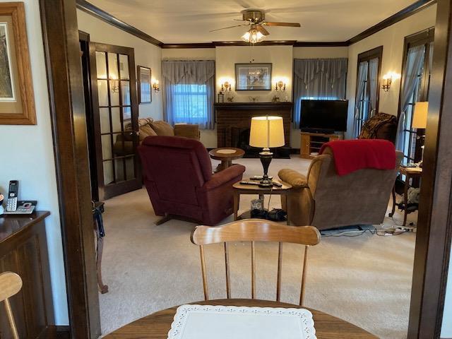 carpeted living room with crown molding and ceiling fan