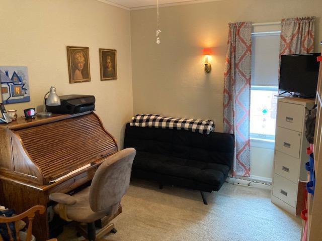 office with light colored carpet and crown molding