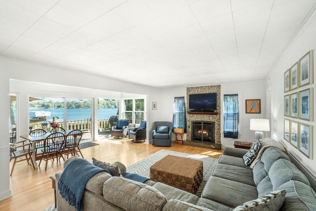 living room with a large fireplace, light hardwood / wood-style floors, and crown molding