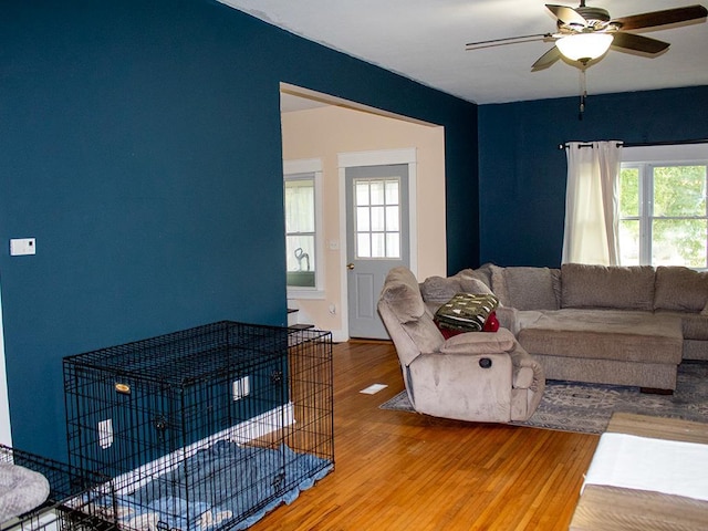 living room featuring ceiling fan, plenty of natural light, and hardwood / wood-style floors