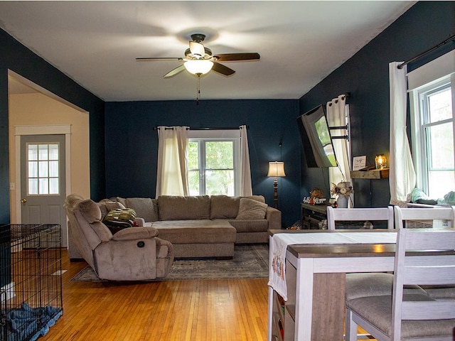 living room with wood-type flooring, ceiling fan, and plenty of natural light