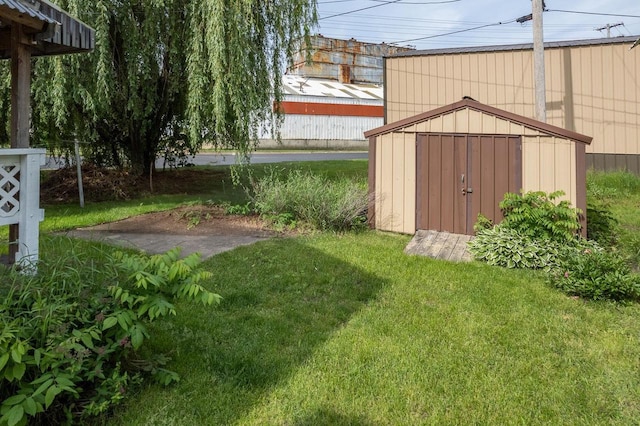 view of yard with a storage unit