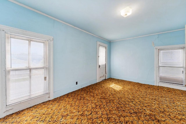 spare room featuring carpet and crown molding