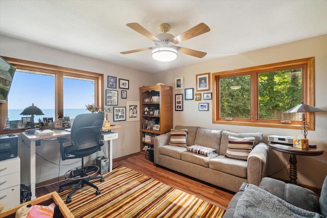 7001 Novak Rd, Racine, WI 53402 - office with healthy amount of natural light, wood finished floors, ceiling fan, and baseboards