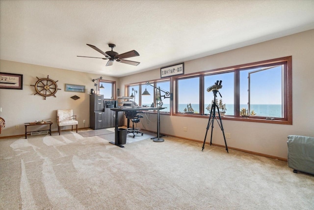 7001 Novak Rd, Racine, WI 53402 - workout room featuring baseboards, a ceiling fan, and carpet flooring